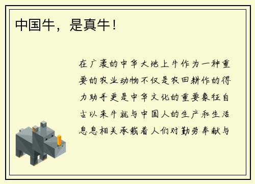 中国牛，是真牛！