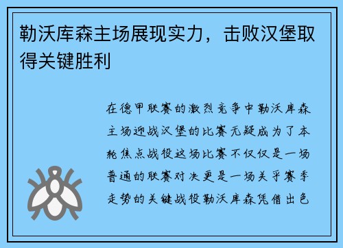 勒沃库森主场展现实力，击败汉堡取得关键胜利
